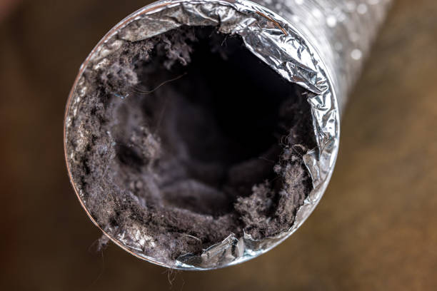 Best Emergency Air Duct Cleaning  in Malden, MO